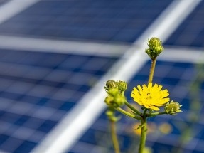 BayWa r.e. Sells Spanish 109 MWp Solar Park to Encavis AG