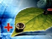 BIOSOL  2011