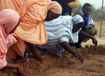 Compa&ntilde;&iacute;as occidentales acaparan la producci&oacute;n de biocarburantes en &Aacute;frica