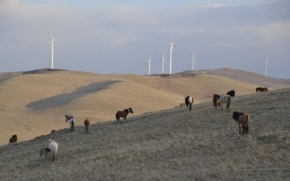 Mongolia joins the wind energy revolution