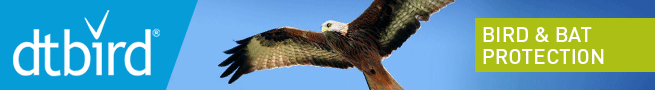DTbird
