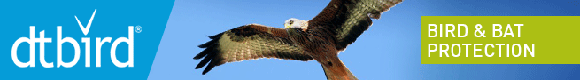 DTbird