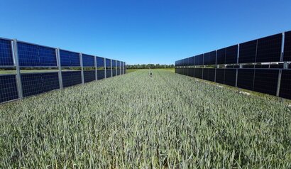 An agrivoltaic plant. Courtesy of Marta Victoria/Wikipedia Commons.