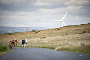 Wales Pension Partnership to invest around £68 million into Bute Energy onshore wind farms 