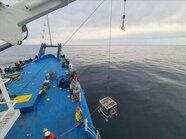 Caledonia offshore wind farm conducting data collection campaign in Moray Firth