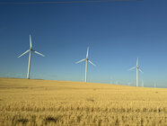 DWT named O&M partner for 700 MW wind farms in the US