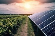 Earthrise Energy secures $630 million financing for MISO-based solar project