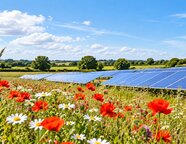 Great North Road Solar and Biodiversity Park receives development consent