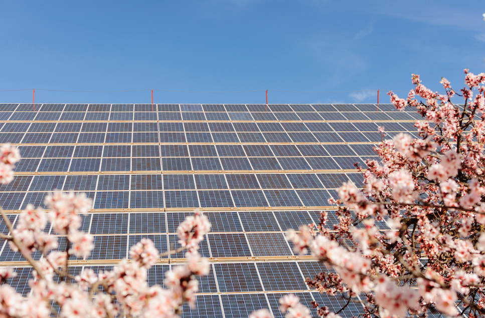 La electricidad solar made in Spain, la más barata de toda Europa