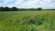 Hive Energy to create subsidy-free solar park in Hampshire, UK