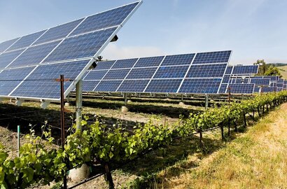 Courtesy of Intersolar Mexico.