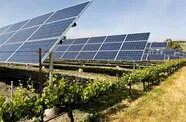 Agrivoltaics in Mexico: Integrating Energy and Agriculture with Strategic Vision