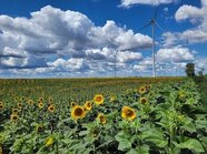 Octopus Energy opens seven new wind farms across Europe 