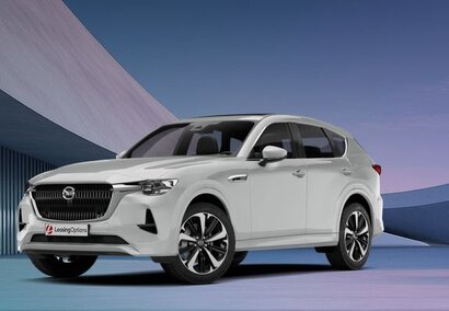 Courtesy of Leasing Options.