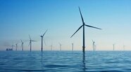 Offshore wind farms bring environmental benefits throughout their life cycle finds new study