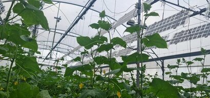 Regace to unveil improved sun-tracking greenhouse system at upcoming General Assembly in Greece