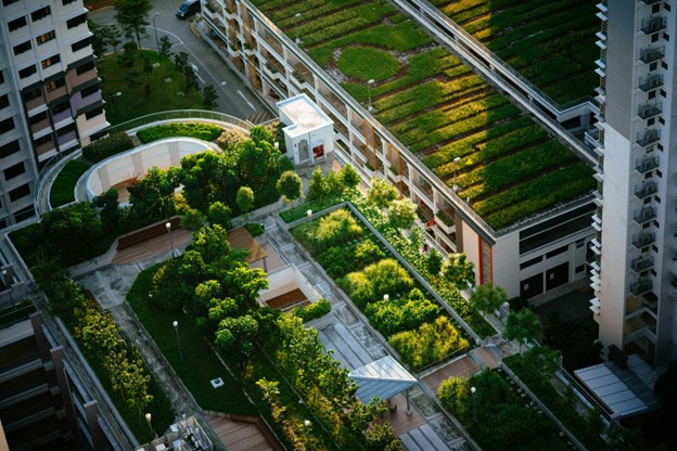 Biophilic Design Meets Solar Innovation