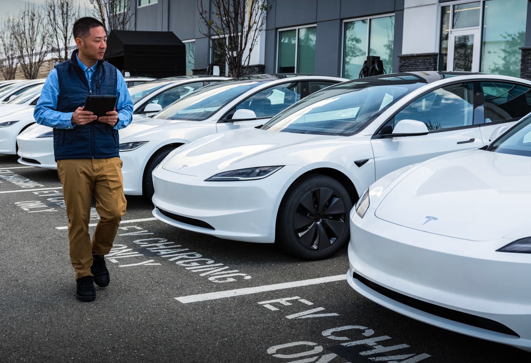 Electric Powered Cars Take Record Share Of Fleet Alliance Fleet
