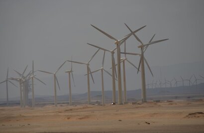 Wind farm in Egypt. Courtesy of Hatem Moushir/Wikipedia Commons.