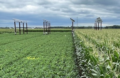 Purdue University Utilizes Solar Power at Lower Cost With Minimal Impact on Crop Yield