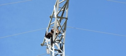 Agentes para la Protección de la Naturaleza de Teruel localizan dos águilas reales electrocutadas