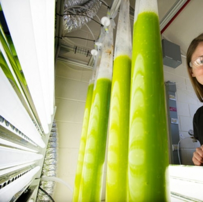 Michigan State University Receives $1 Million Grant from DOE