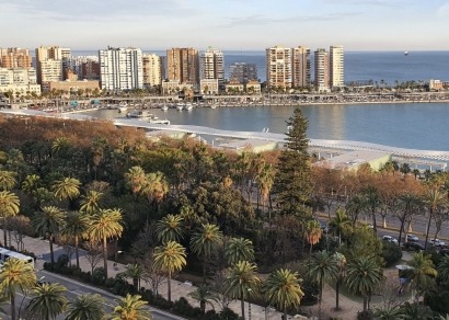 Nuevo proyecto para profundizar en los beneficios del arbolado urbano ante el cambio climático