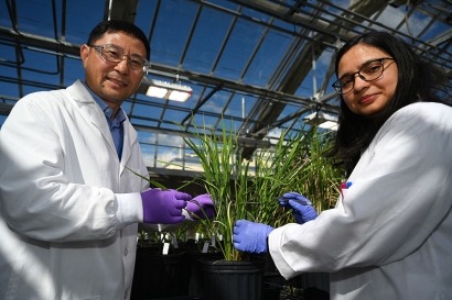 Unlocking Sugar to Generate Biofuels and Bioproducts