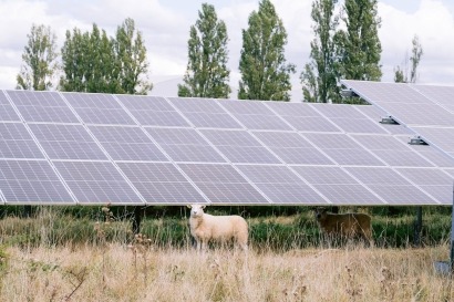 BayWa r.e. Completes Major Sale of French Solar Projects Totaling 127 MWp