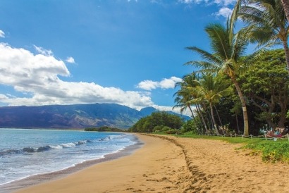 Ameresco to Build Biofuel Facility on Maui