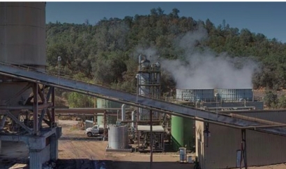 Buena Vista Biomass Power facility