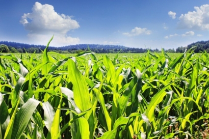 China Will Reportedly Triple Ethanol Production by 2020