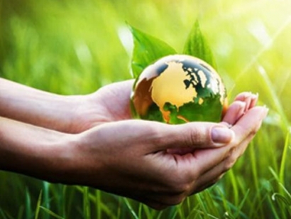 Save the Planet: Six Simple Changes That Can Make a Big Difference