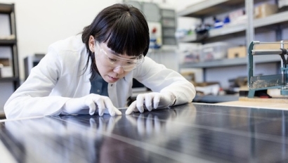 Las renovables viven en 2024 su primera desaceleración en creación de empleo