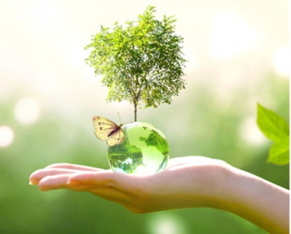 Why We Need to Reduce Our Carbon Footprint Now More Than Ever