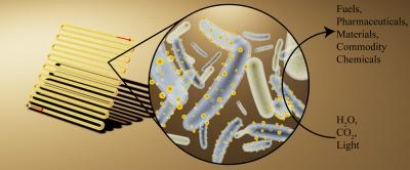 Cyborg Bacteria Able to Convert Sunlight into Useful Chemicals