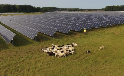 New Solar Projects Approved for Dominion Energy Virginia