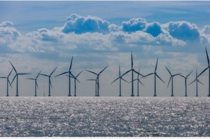 DNREC State Energy Office Delivers Offshore Wind Procurement Report to Governor
