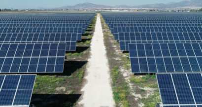 Endesa Begins Agrivoltaic Projects in Four PV Plants