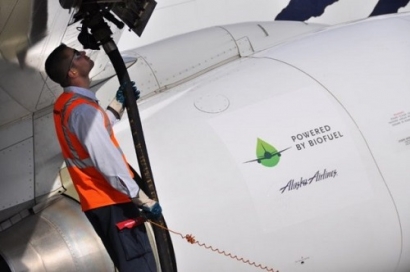 Boeing to Offer Biofuel for Airlines to Fly New Airplanes Home