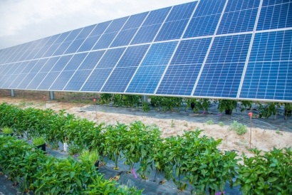 Endesa se pone a mil