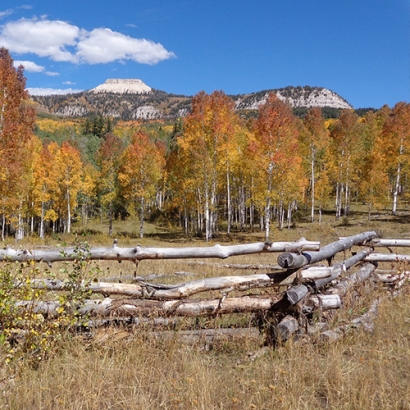 BLM Announces Geothermal Lease Sale In Southwestern Utah