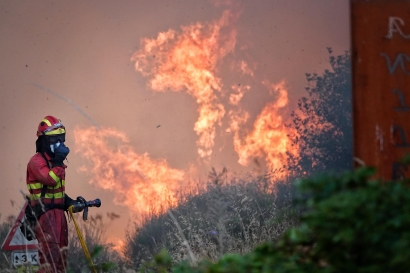 Biomasa forestal para blindar el monte frente a los incendios e impulsar la eficiencia energética