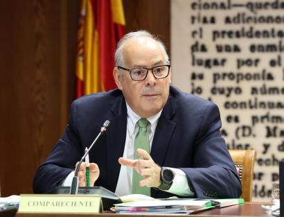 Iberdrola atribuye el apagón a un fallo de planificación de REE y exculpa a sus plantas fotovoltaicas
