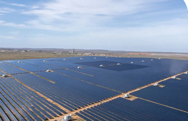 Solar Farm courtesy of Great White Solar