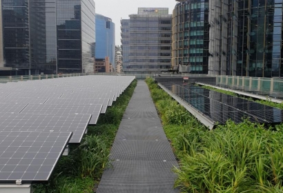 Green Roofs Best for Solar Installations