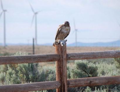 Facebook to Purchase Power from Apex’s 300 MW Lincoln Land Wind Project