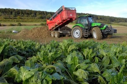 Two New Biogas Plant Orders for HoSt