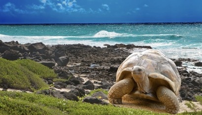 El 100% de la electricidad de Galápagos será generada con renovables para 2040