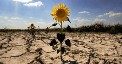 Alianza por el Clima considera insuficientes y desequilibradas las jornadas para debatir la Ley de Cambio Climático